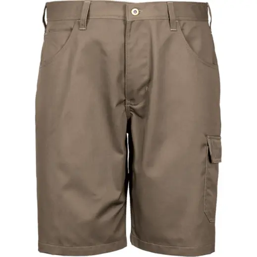 Rogue Shorts Khaki